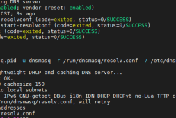 dnsmasq域名解析的那点事